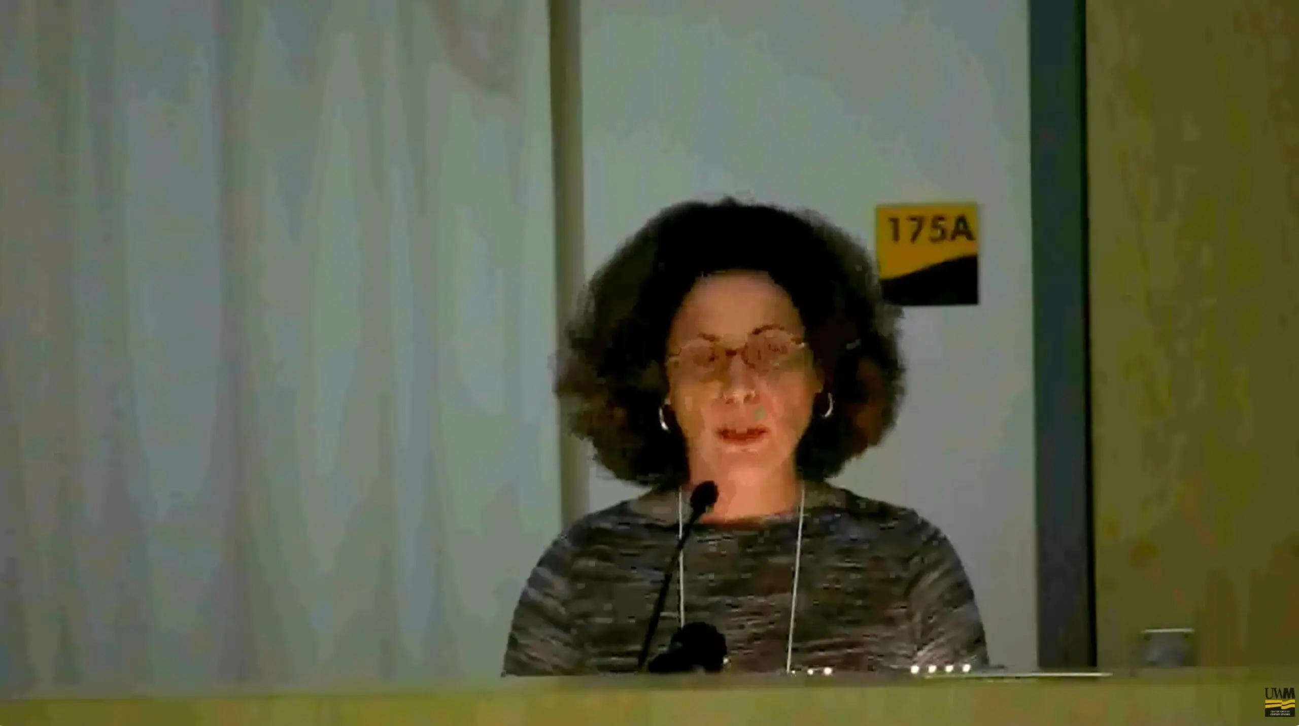 Jane Bennet: “Systems and Things” | The Nonhuman Turn Conference