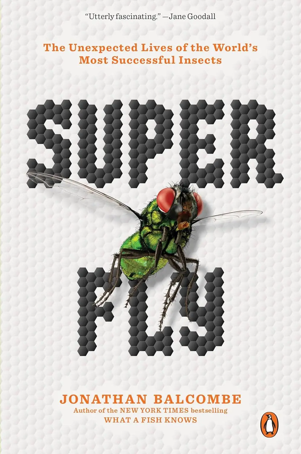 Super Fly: The Unexpected Lives of the World’s Most Successful Insects