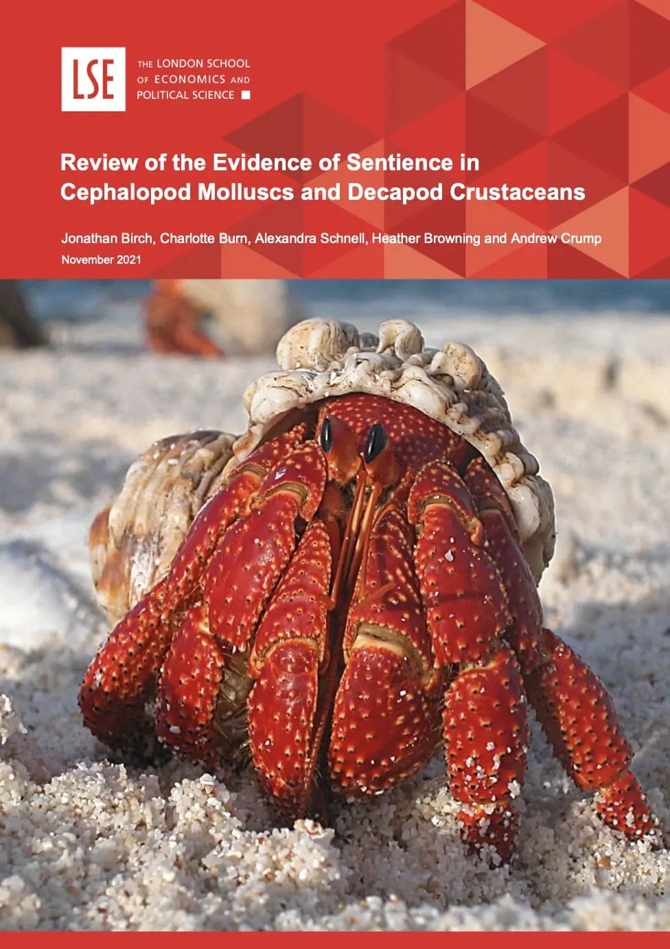 Review of the Evidence of Sentience in Cephalopod Molluscs and Decapod Crustaceans