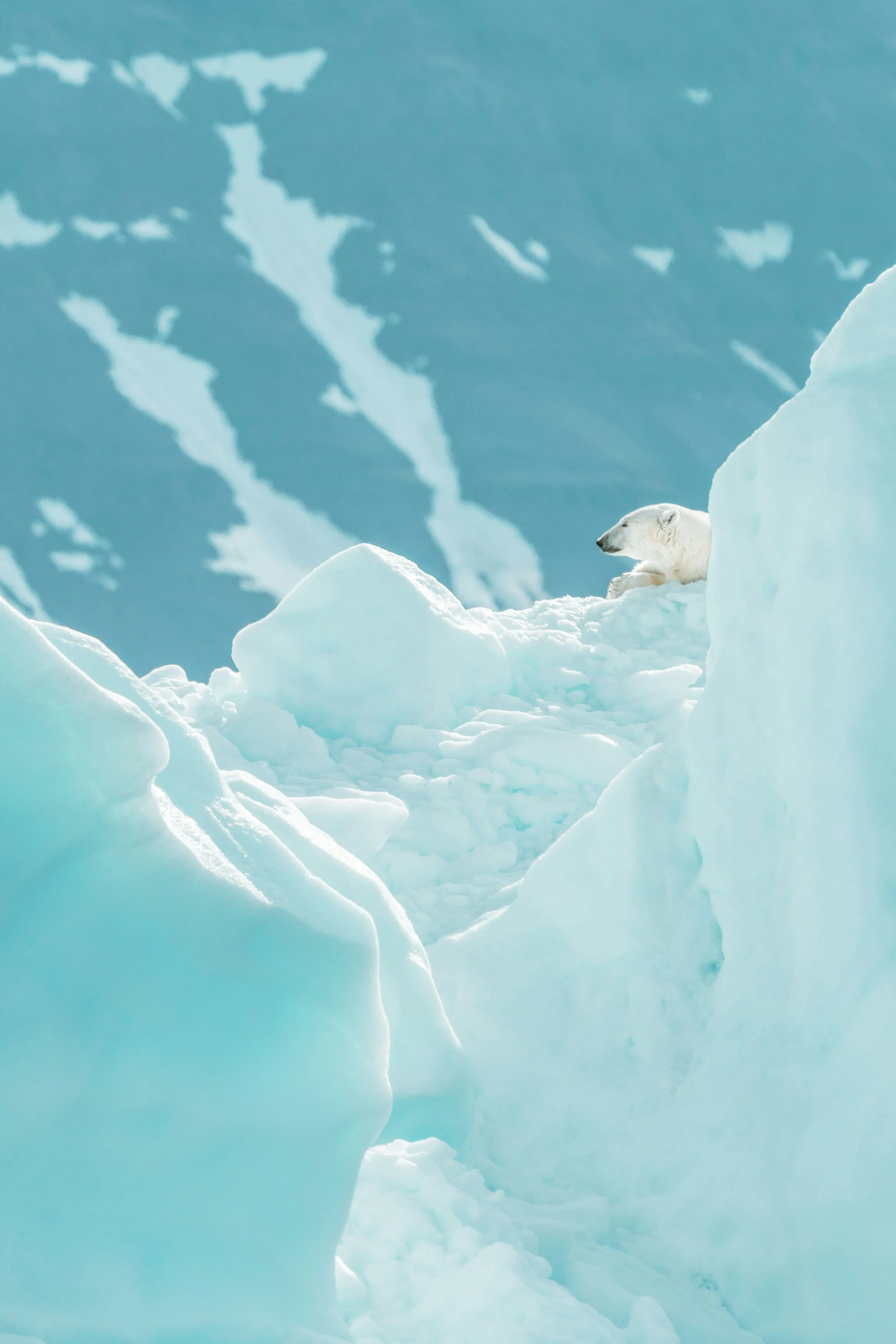 International Environmental Law for Antarctica