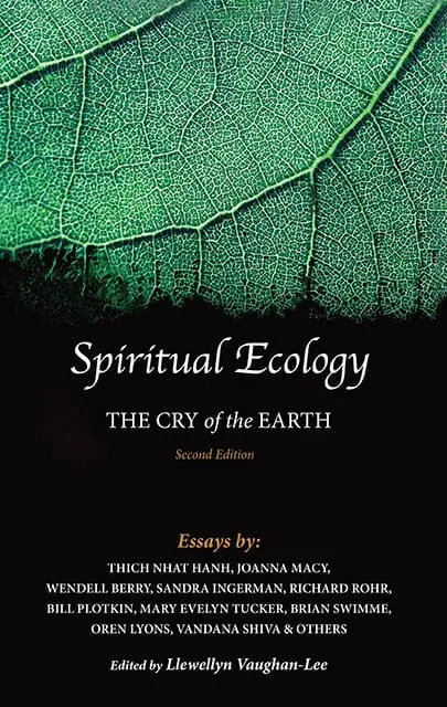 Spiritual Ecology: The Cry of the Earth