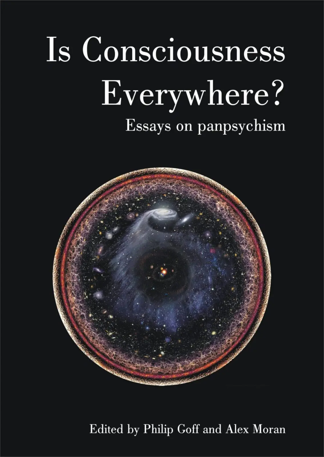 Is Consciousness Everywhere? Essays in Panpsychism