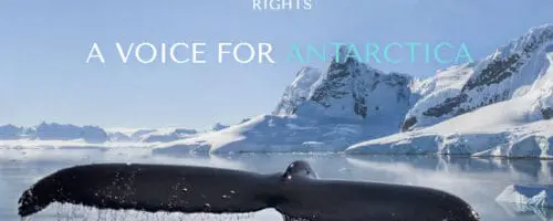Antarctic Rights: A Voice for Antarctica