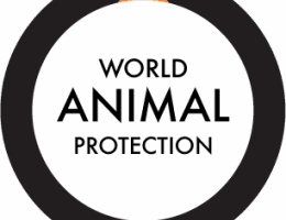 Animal Protection Index