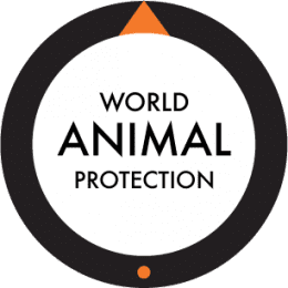 Animal Protection Index