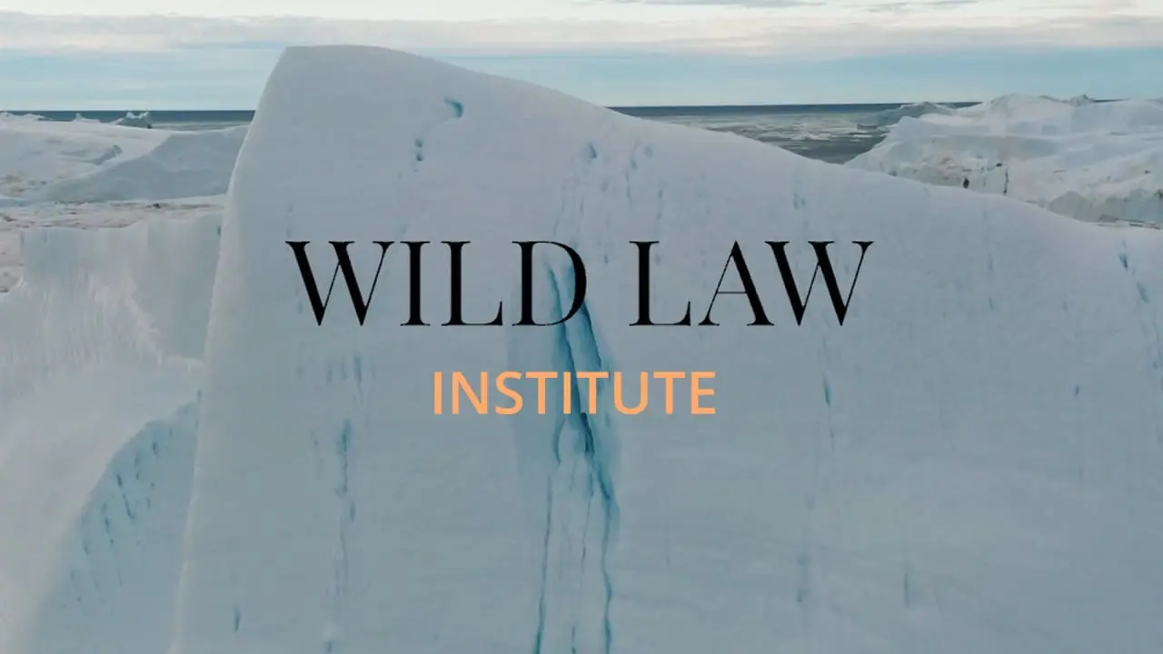Wild Law Institute