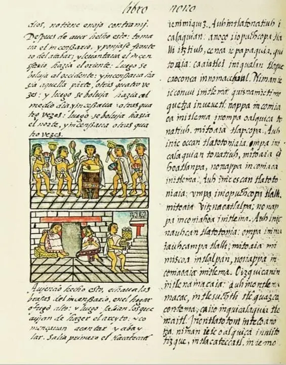 “Ritual and Religious Uses of Psilocybe Mushrooms in Mesoamerica”