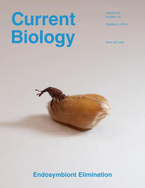 “Fish Cognition”