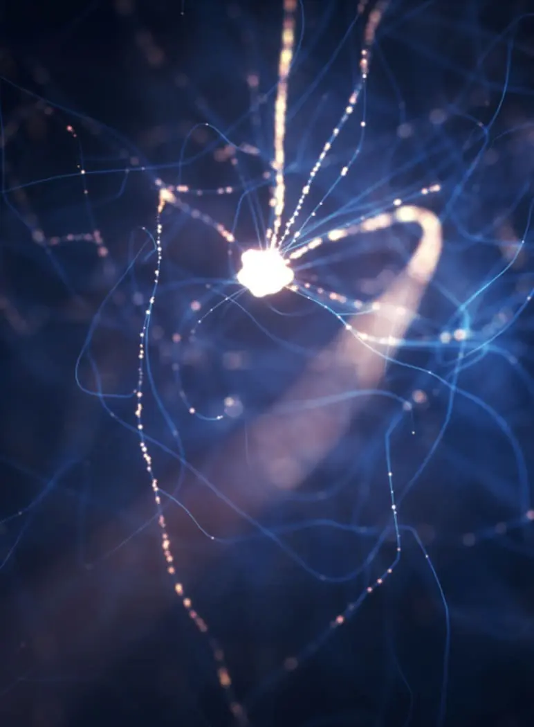 “New Theories Expand Cognition to Fungi”