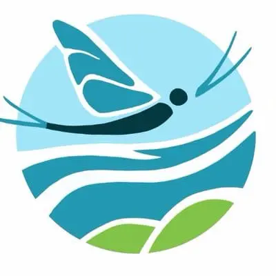 “Metacommunity Theory as a Multispecies, Multiscale Framework for Studying the Influence of River Network Structure on Riverine Communities and Ecosystems”