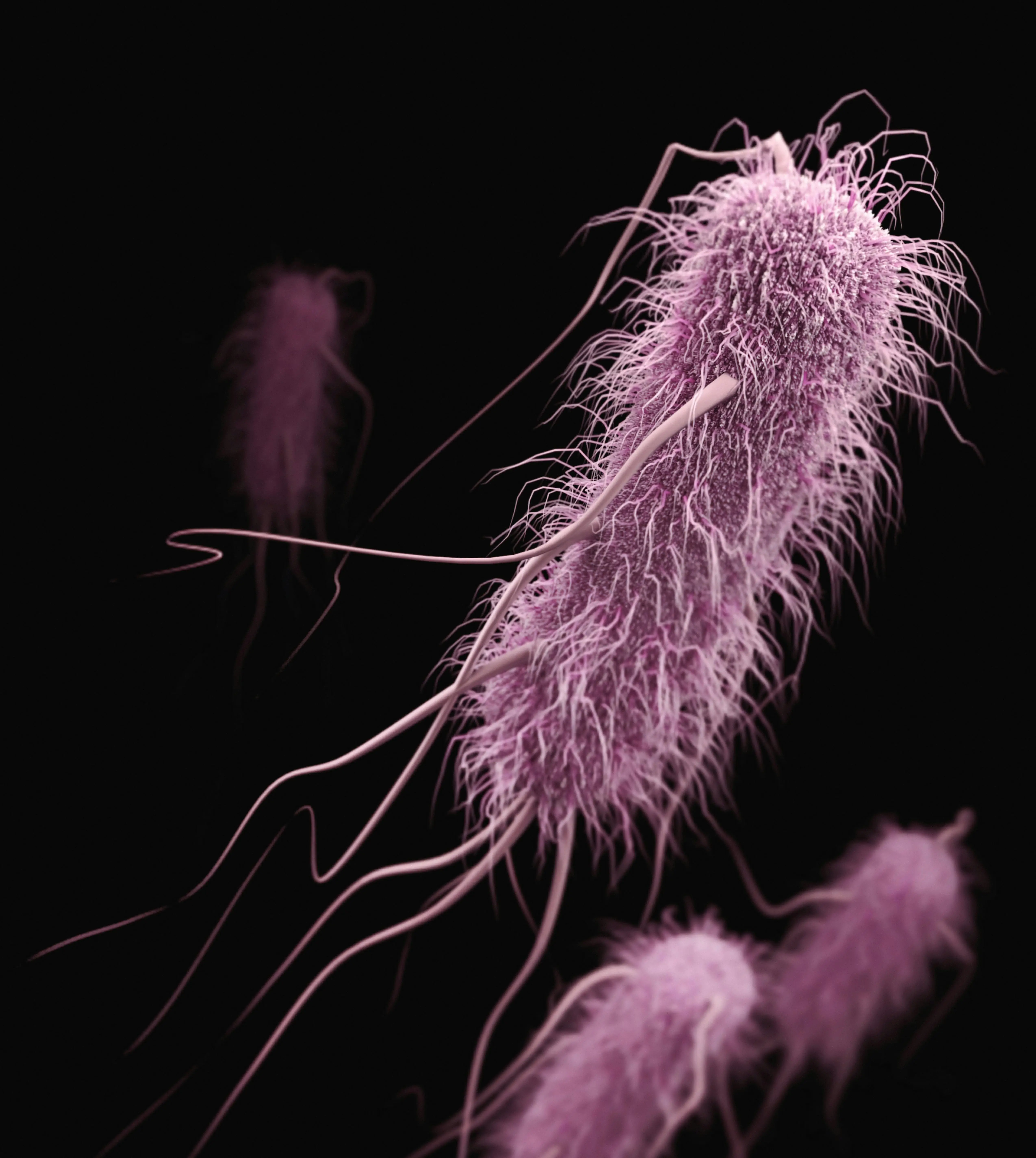 “Bacteria Have Feelings, Too”