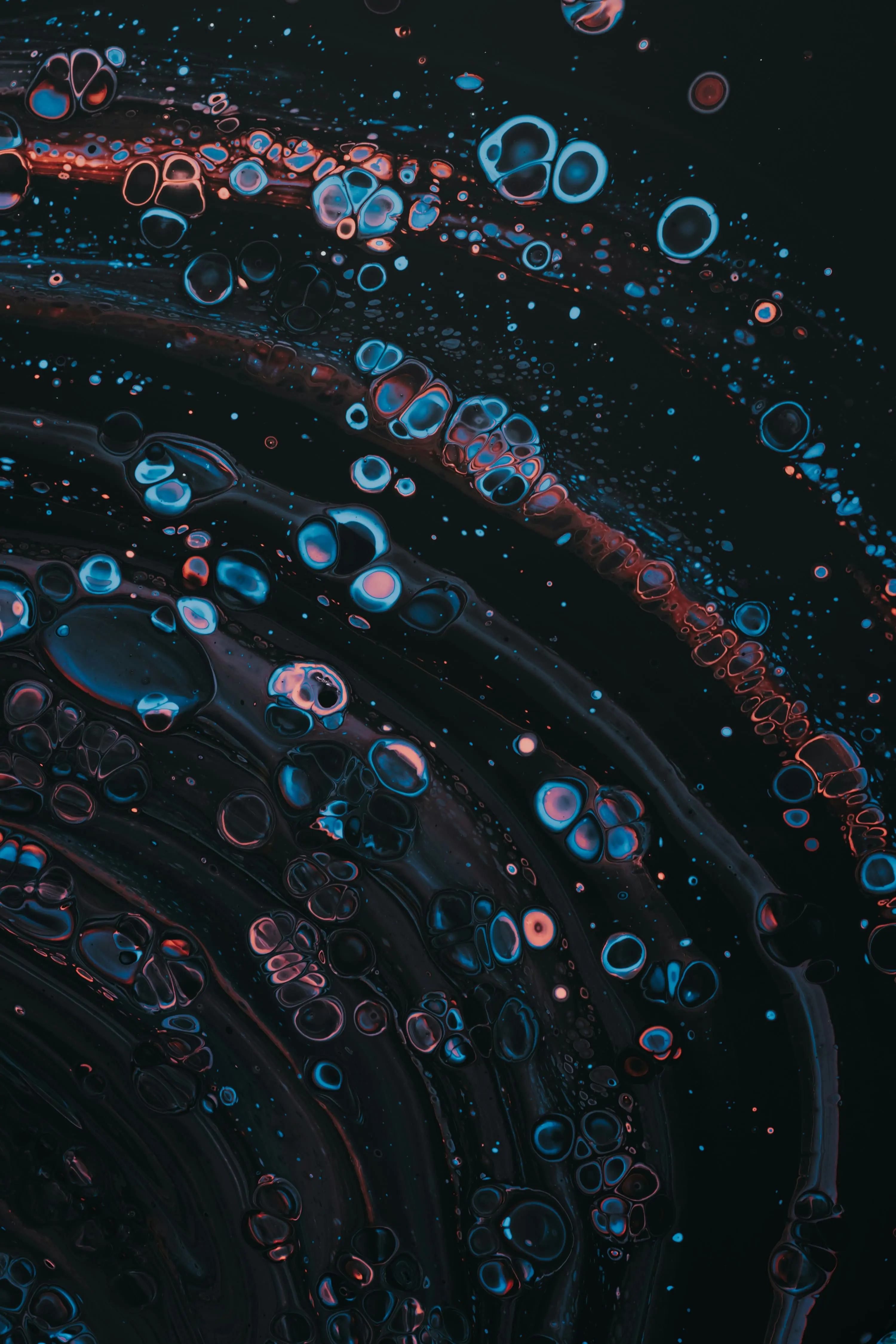 “On Intelligence in Cells: The Case for Whole Cell Biology”