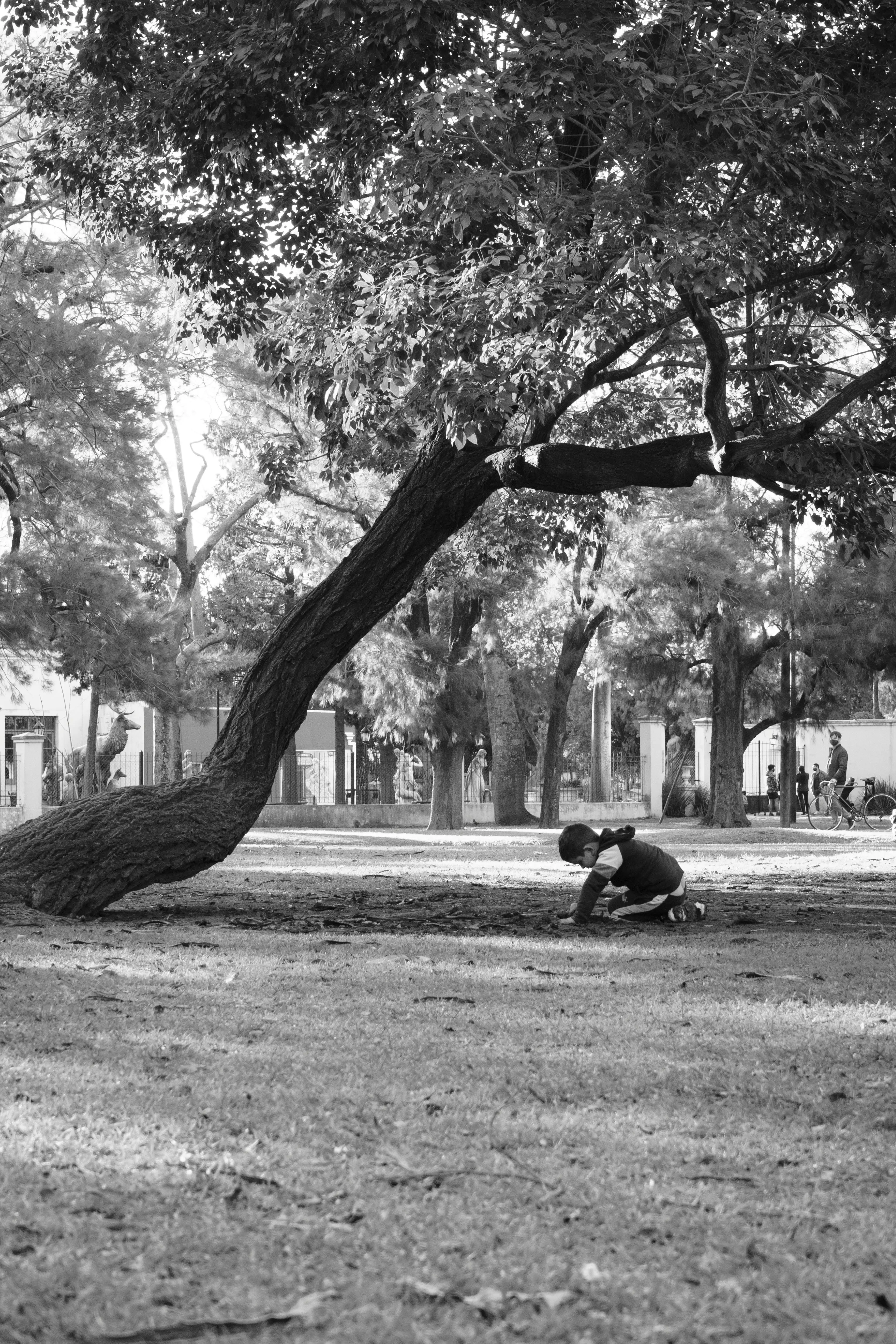 “School Is for Connecting to Nature”