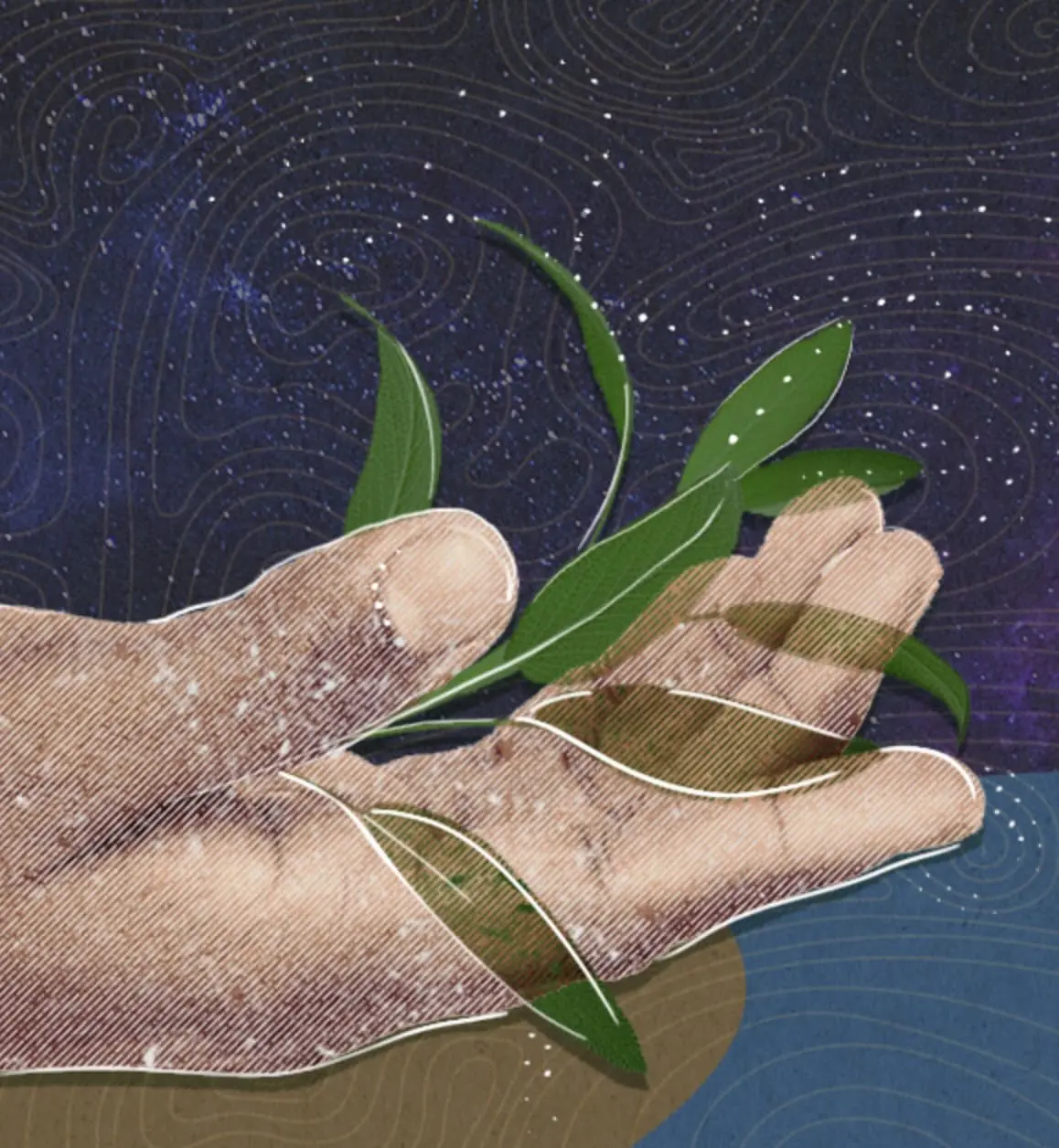 “Land as teacher: understanding Indigenous land-based education”