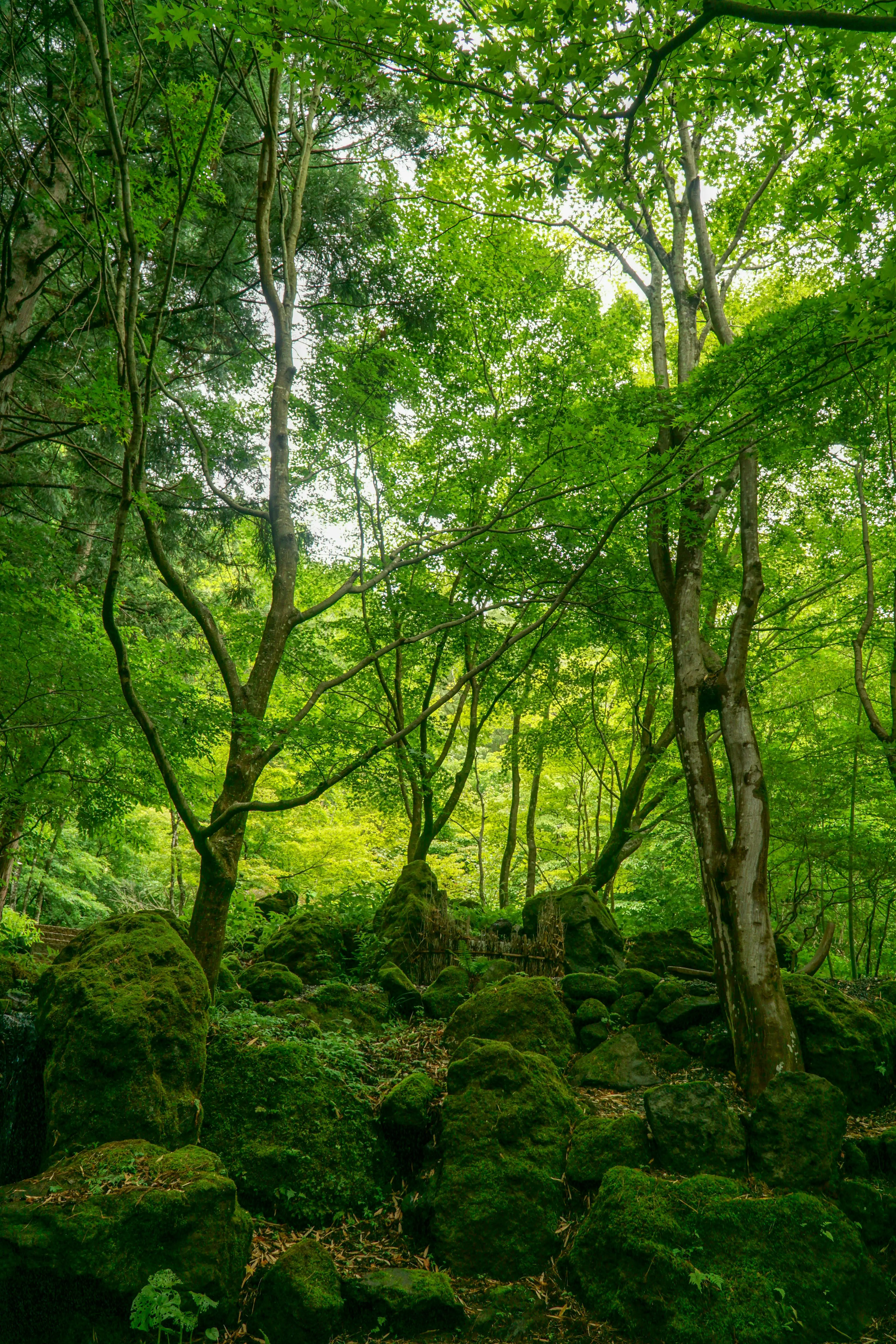 “Exploring The Religious Naturalist Option”