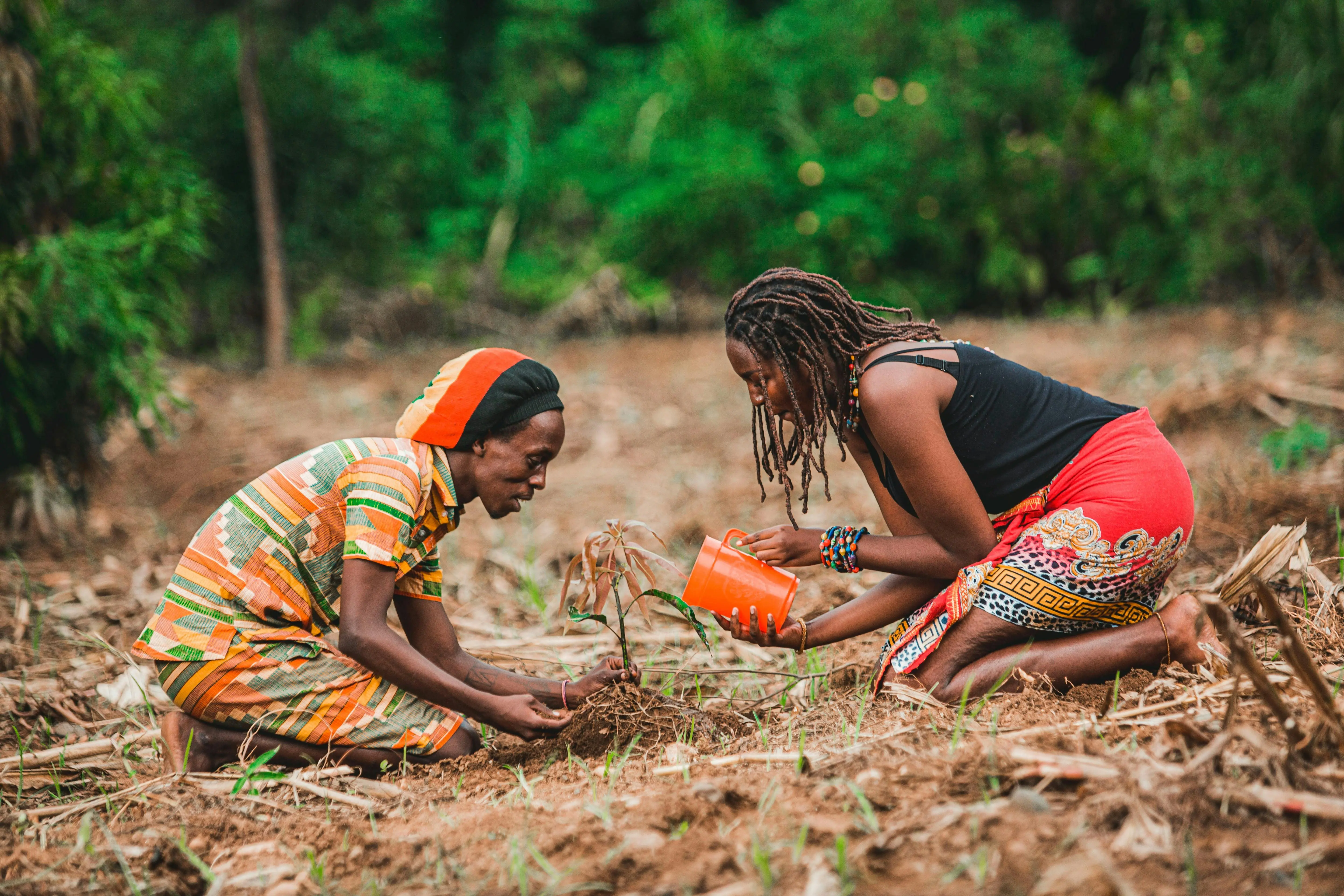 The Struggle For Environmental Justice In Africa