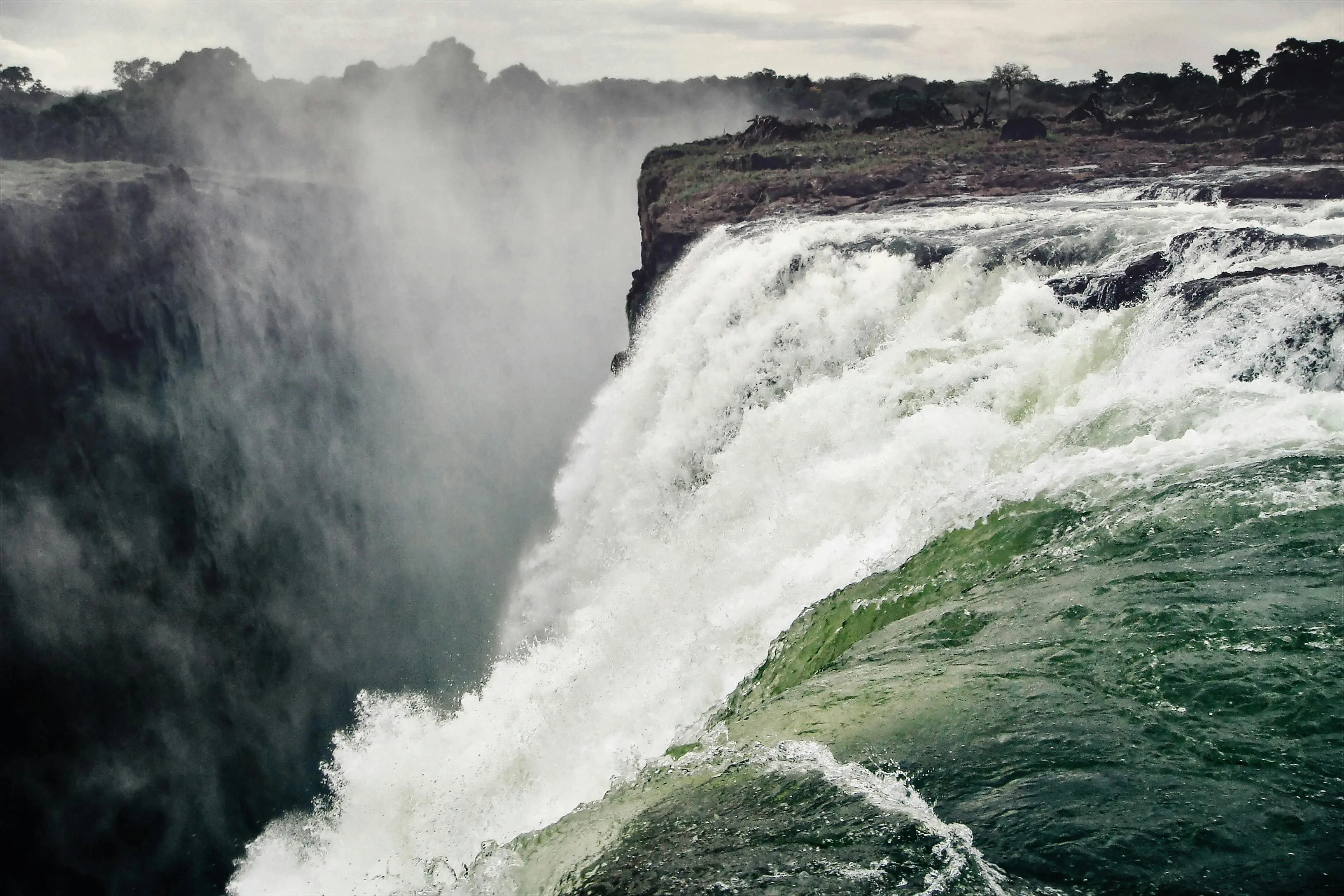 Earth Jurisprudence and African Philosophy