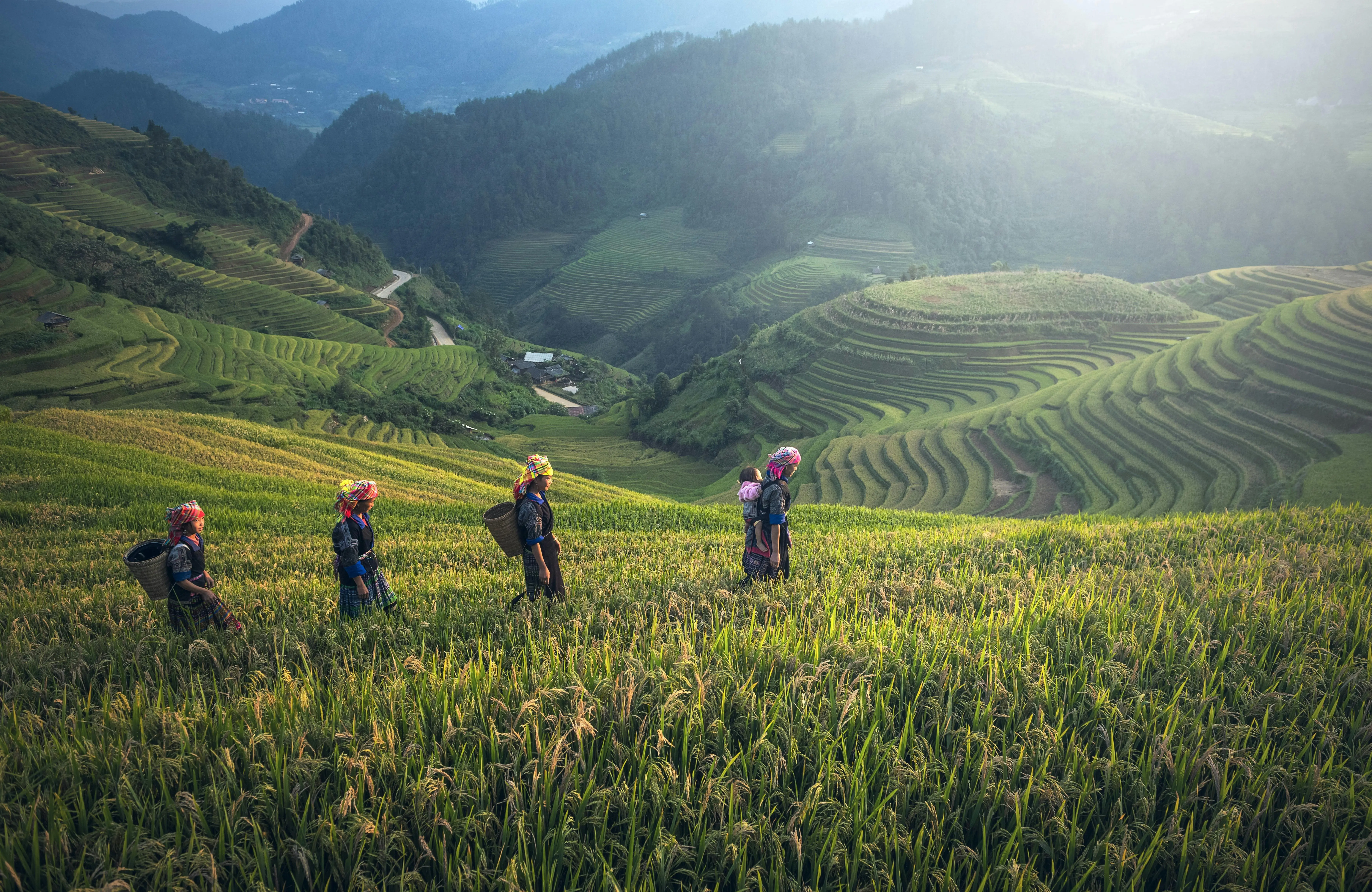 Oxford Library Guide: Environmental law in Asia