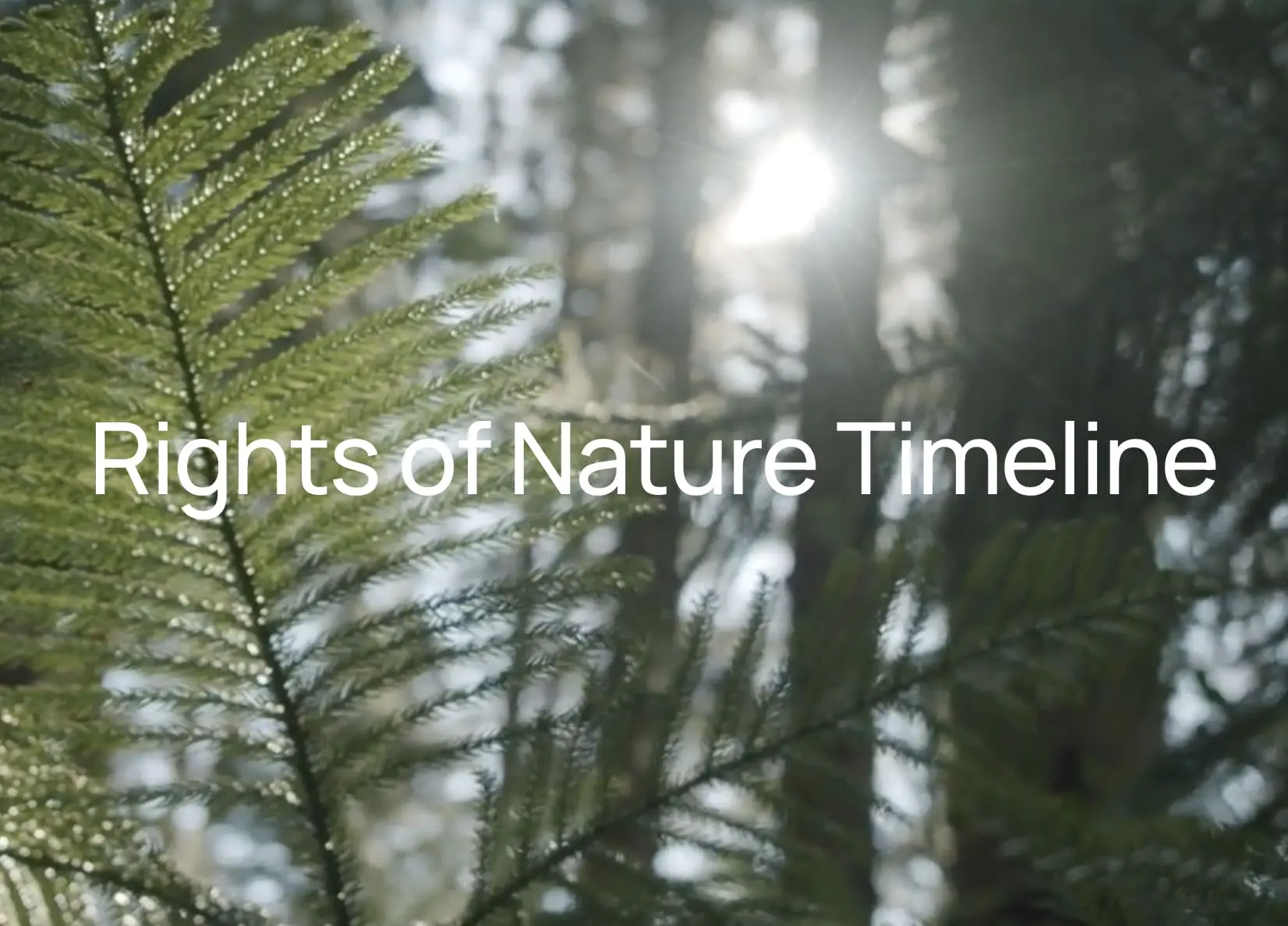 Rights of Nature Timeline | Center for Democratic and Environmental Rights