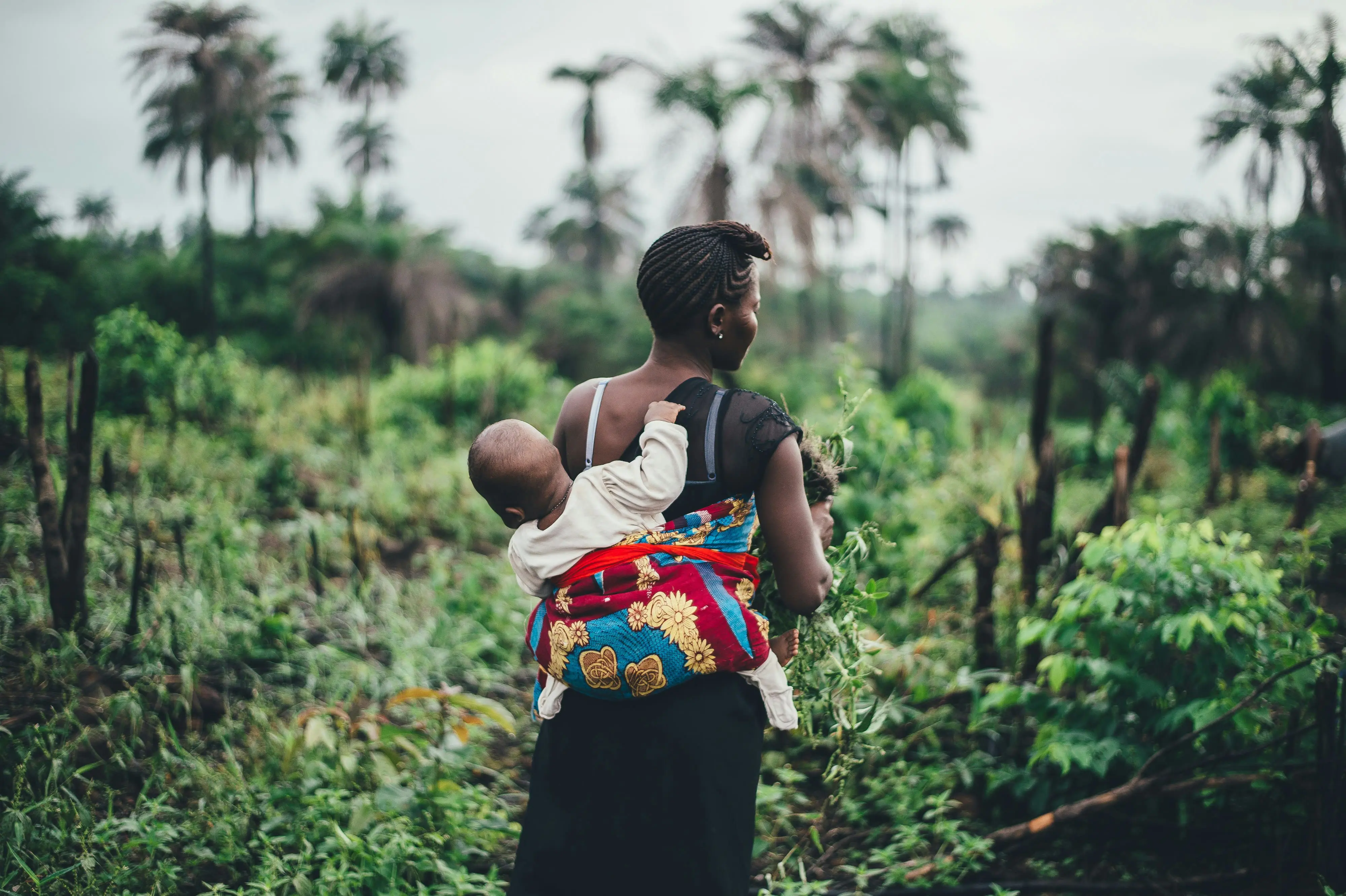 CJCM webinar: Advancing Rights of Nature and Human Rights in Africa and Beyond