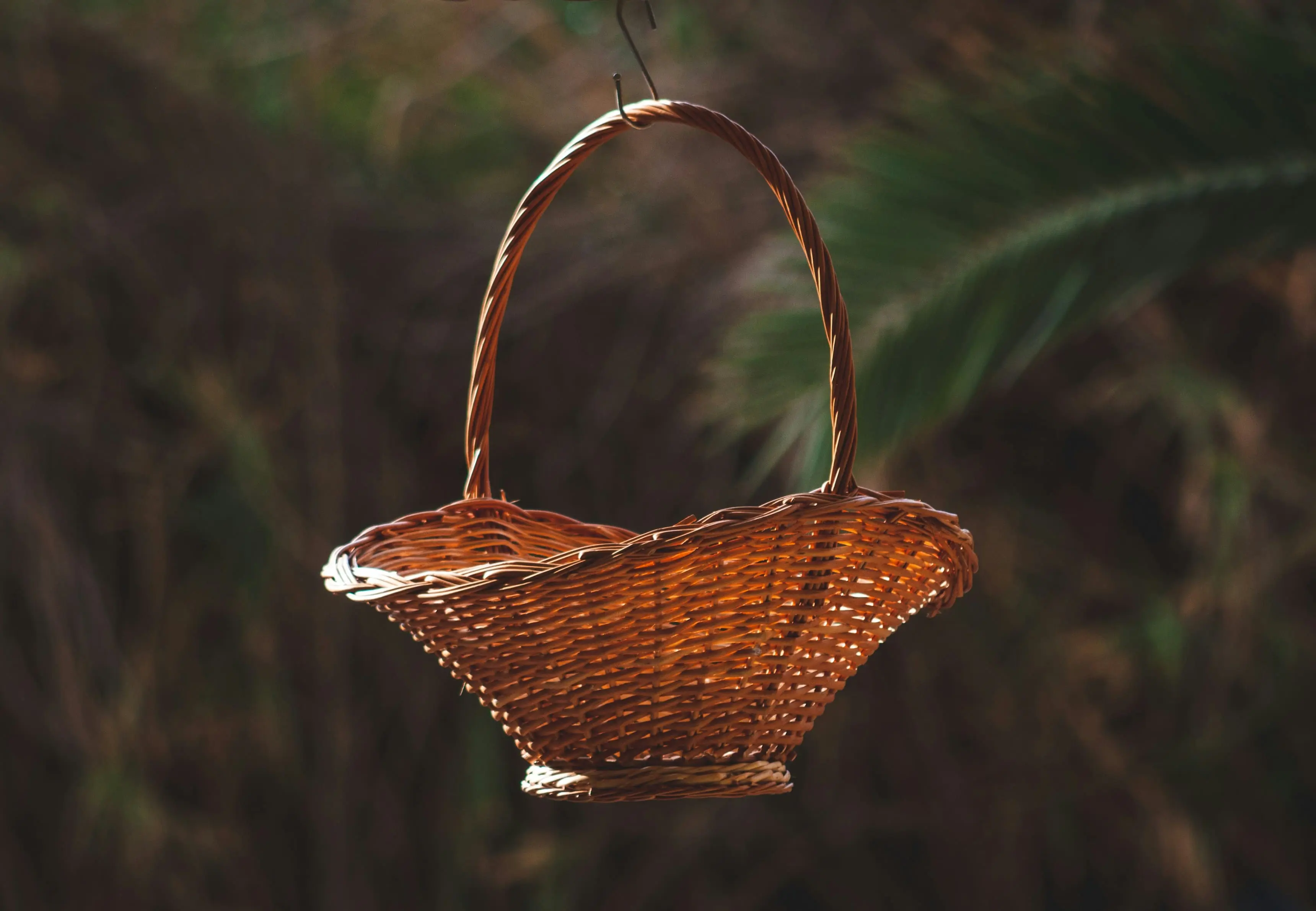 Reweaving the Basket of Life – African Perspectives of Earth Jurisprudence