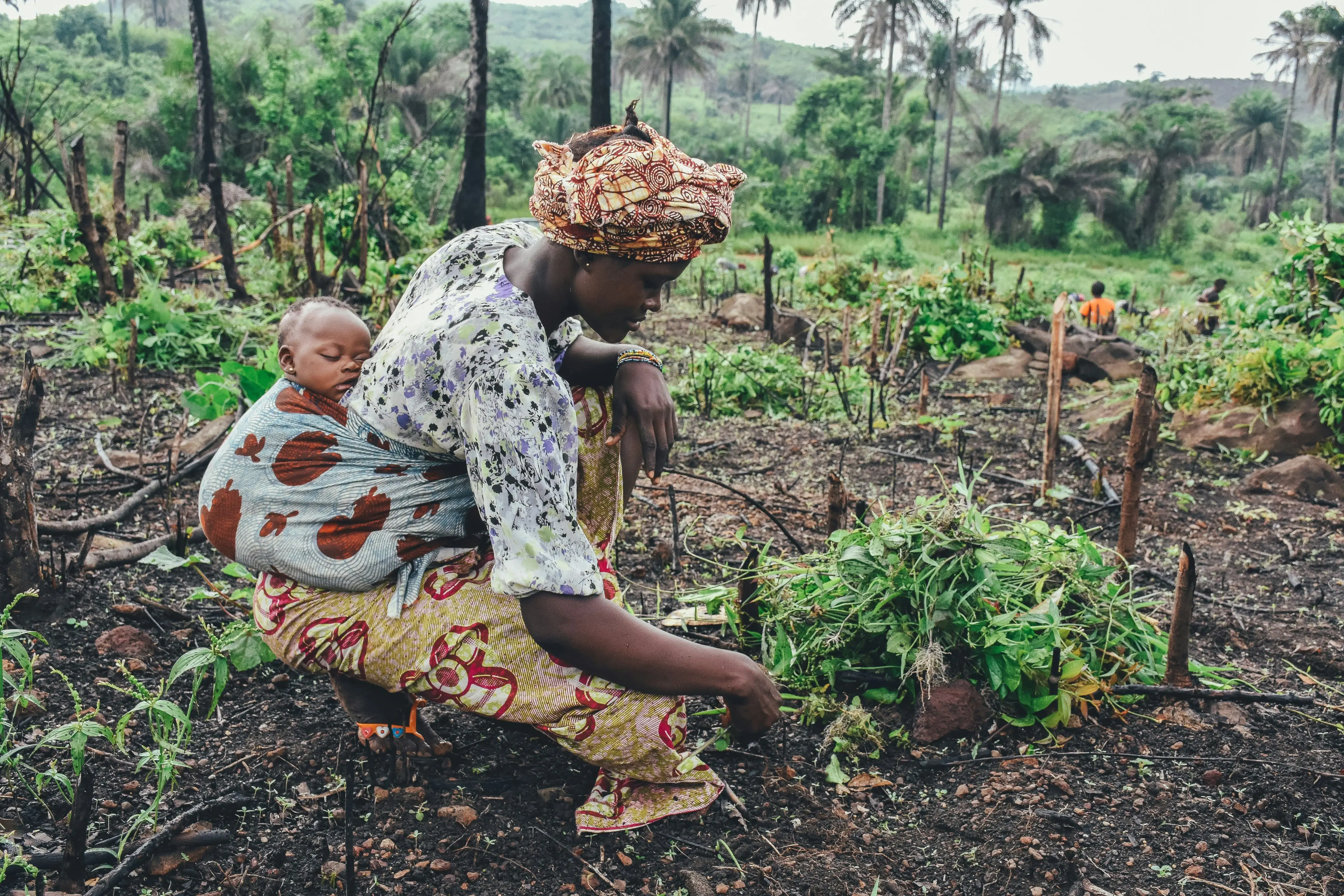 Gaarú: The growing African Movement for Earth Jurisprudence