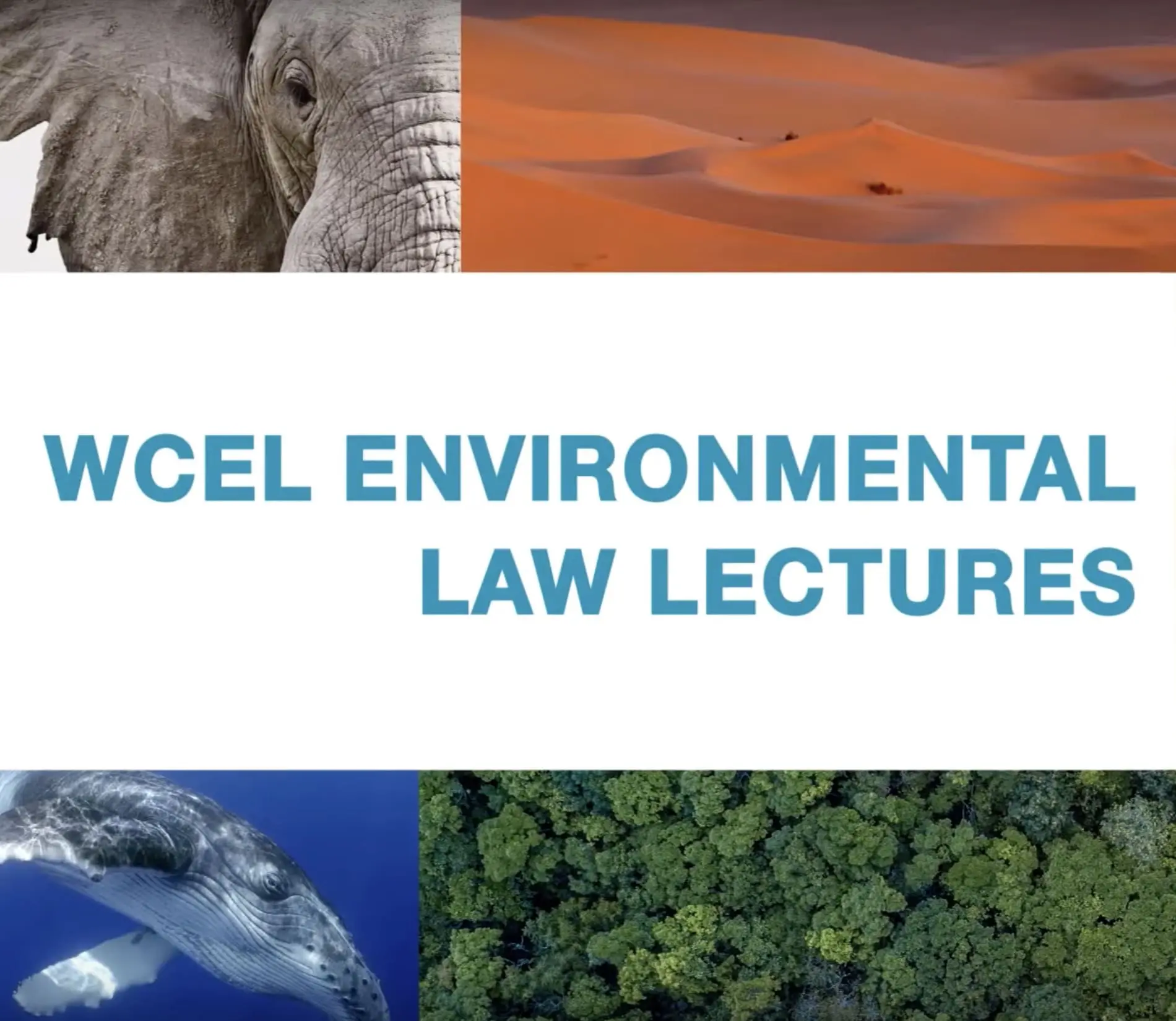 Environmental Law in India – WCEL Environmental Law Lectures