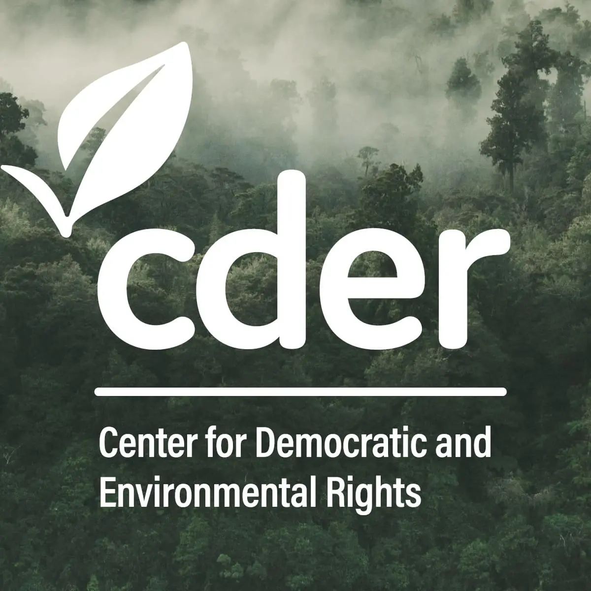 CDER Webinars, Videos, and Presentations
