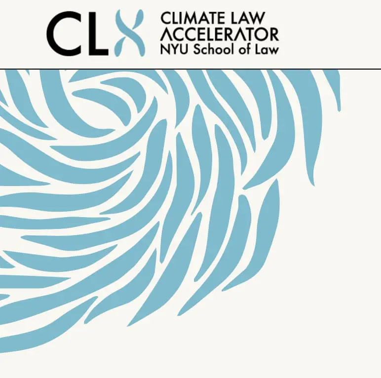Ecocide: Emerging Norms and Litigation