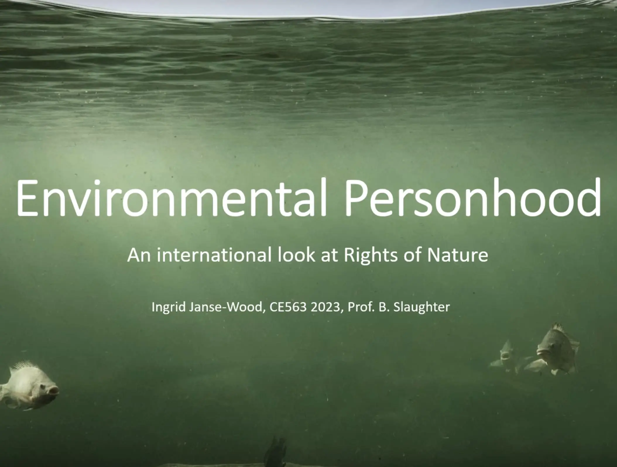 Environmental Personhood Around the World (explainer)