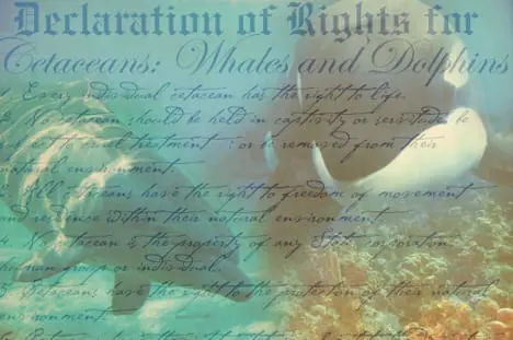 Declaration of Rights for Cetaceans: Whales and Dolphins