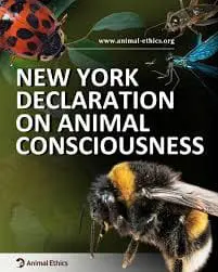 “The New York Declaration on Animal Consciousness”