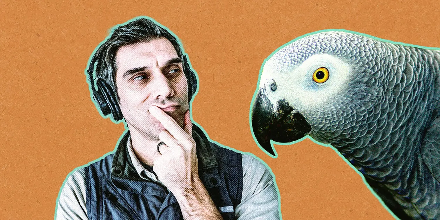 “Bird Intelligence”