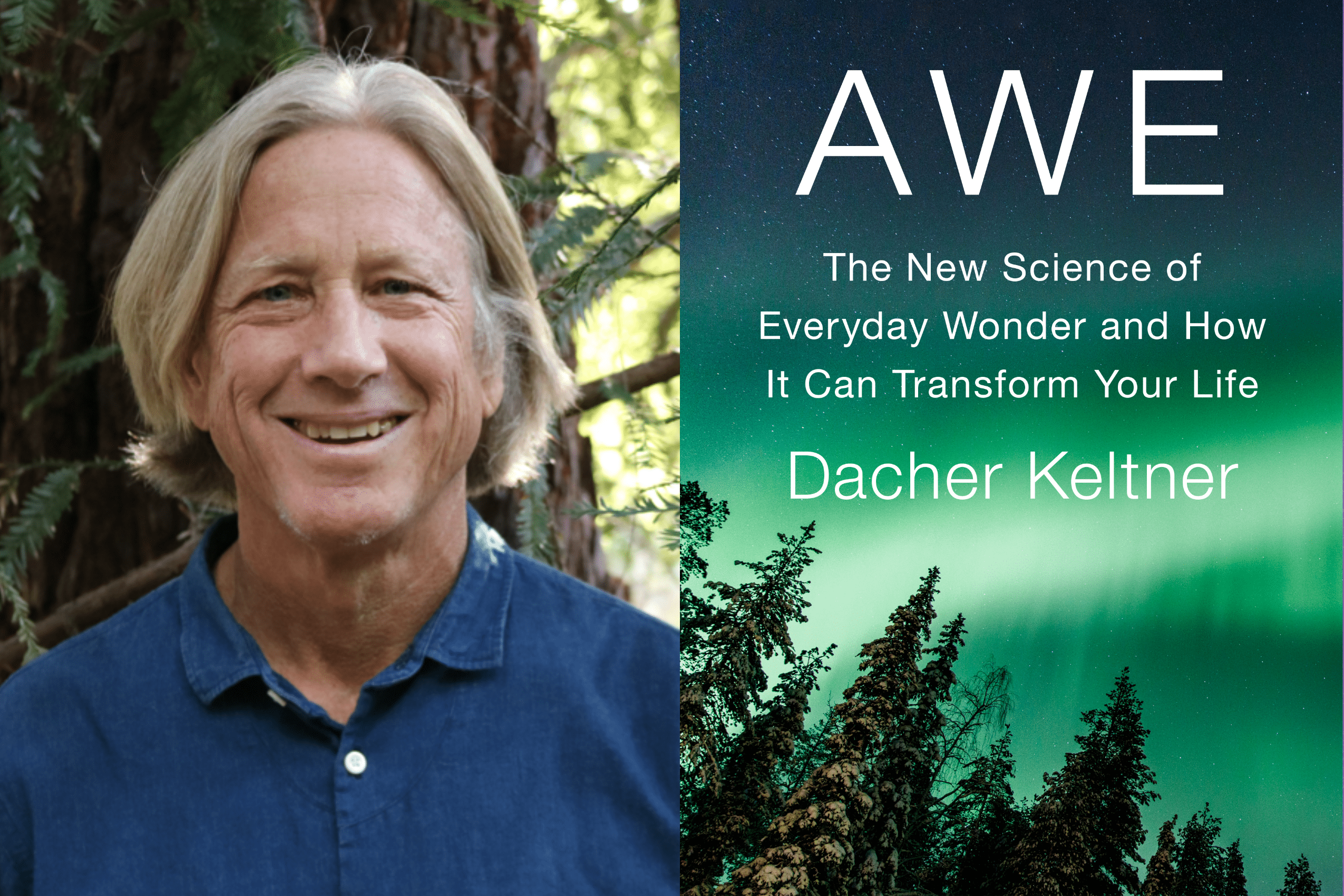 “The Thrilling New Science of Awe”