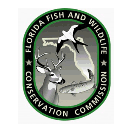 “Amphibian & Reptile Research”
