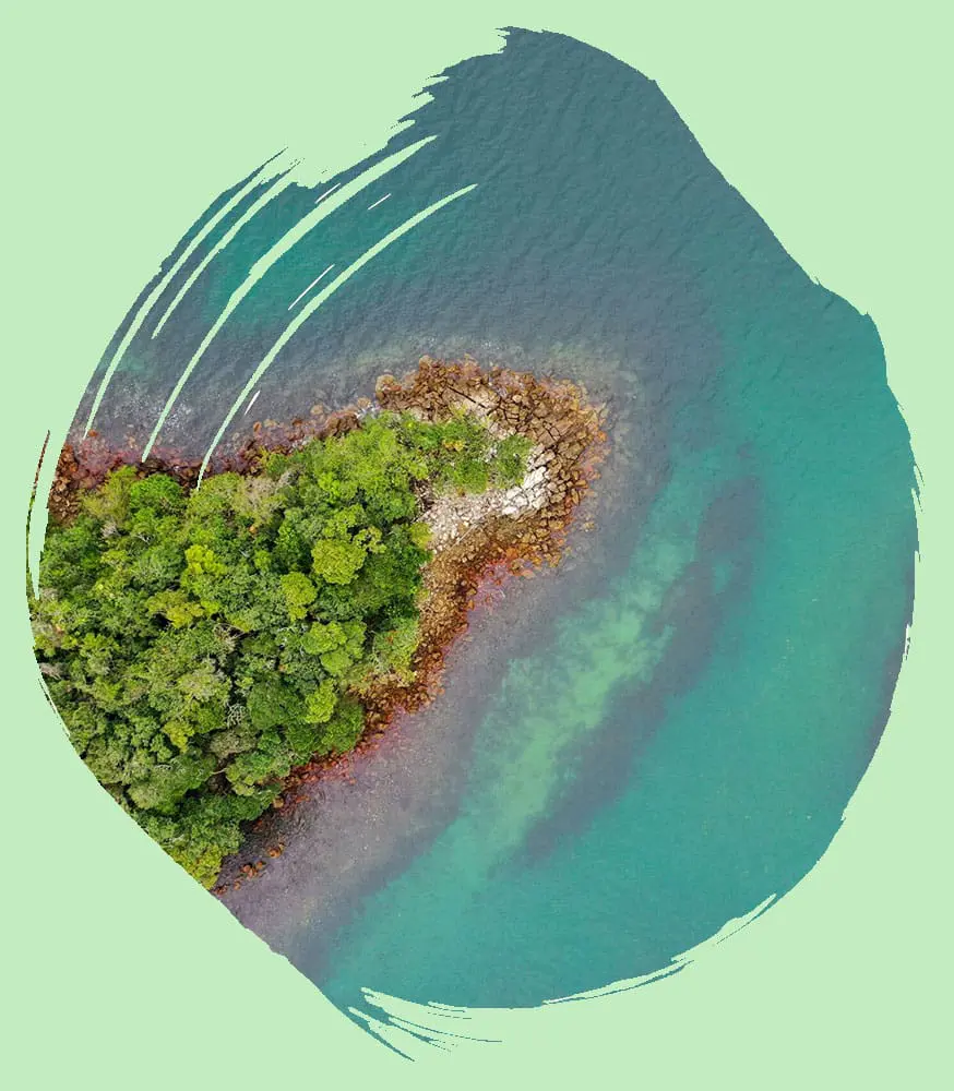 Birdseye view of a river.