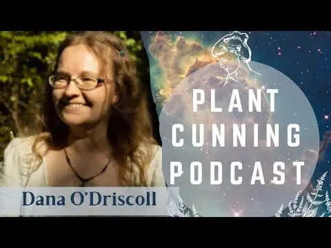 Thumbnail for Ep.147: Dana O'Driscoll on Land Healing.