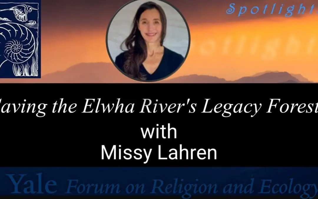 Thumbnail for 4.19 Saving the Elwha River's Legacy Forests with Missy Lahren.