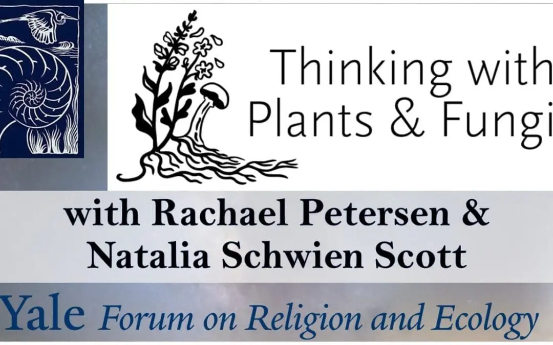 Thumbnail for Episode 5.19, Thinking with Plants and Fungi, with Rachael Petersen and Natalia Schwien Scott.
