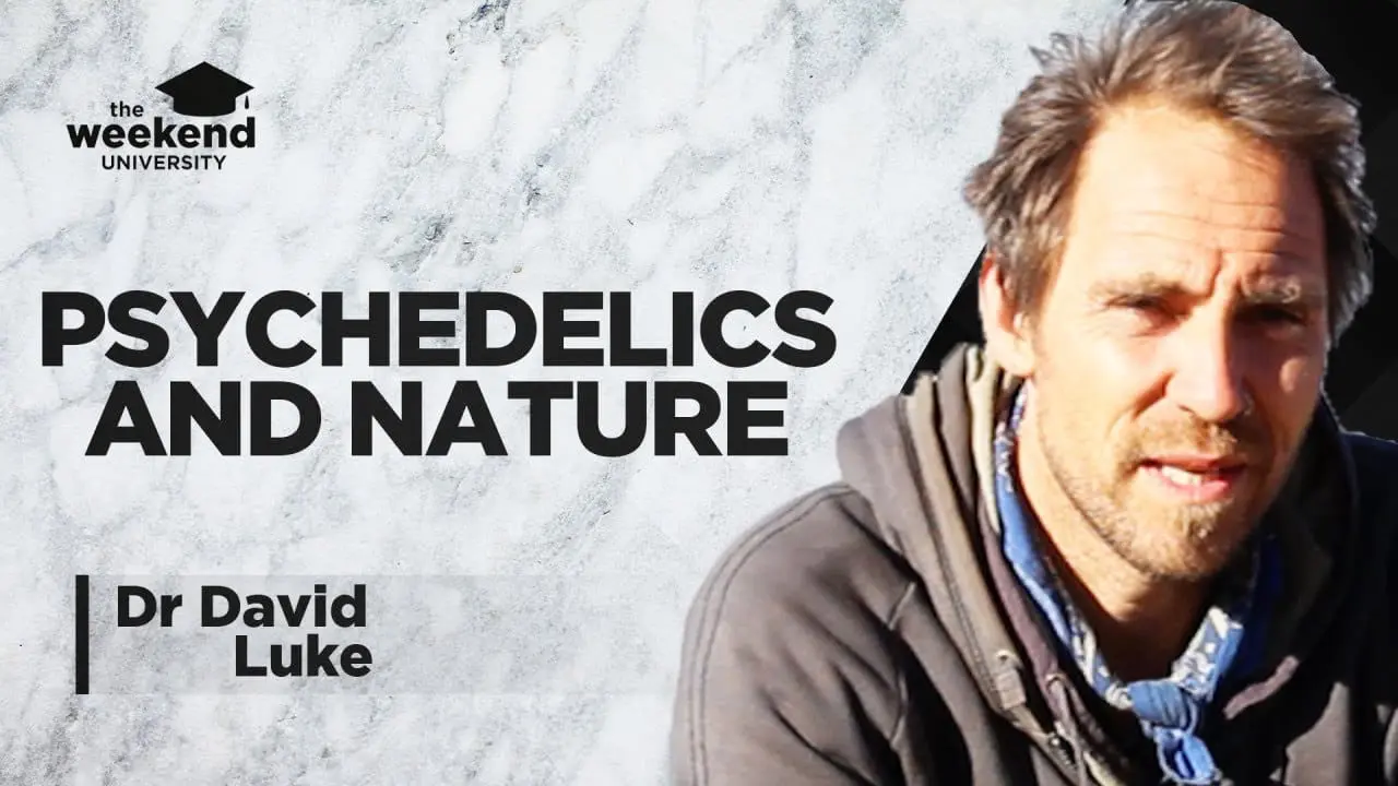 The Science of Psychedelics & Nature Connectedness