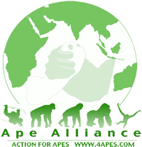 Ape Alliance: Action for Apes