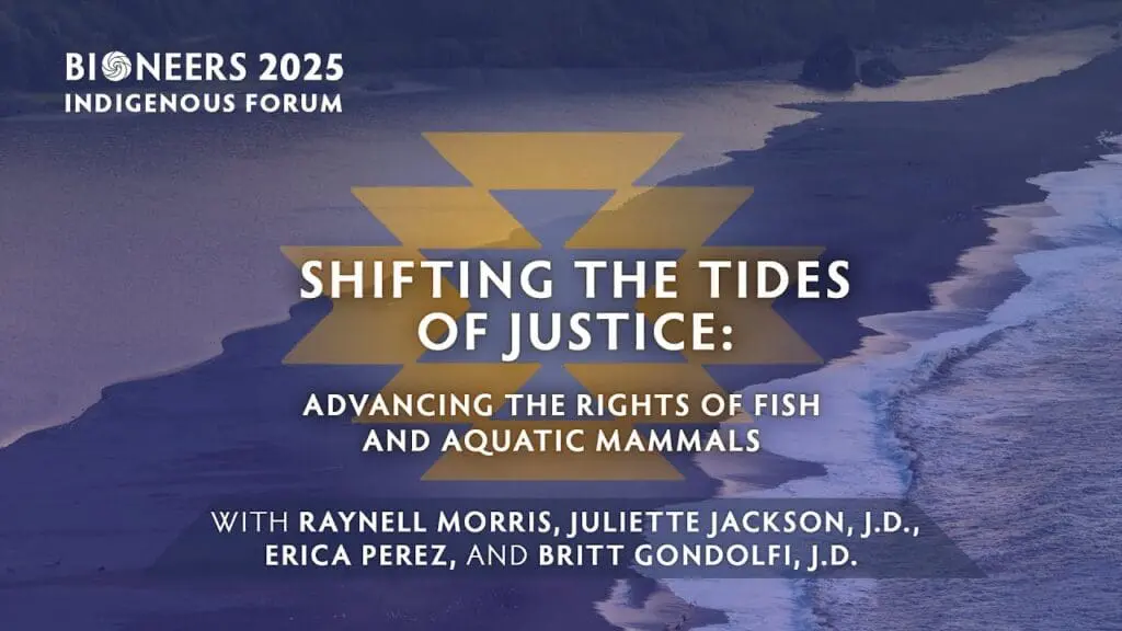 Shifting the Tides of Justice: Advancing the Rights of Fish and Aquatic Mammals