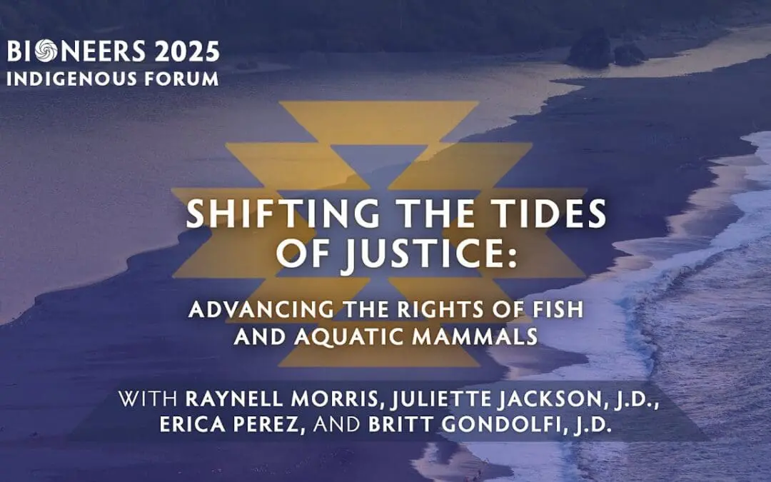Information banner of Shifting the Tides of Justice: Advancing the Rights of Fish and Aquatic Mammals.