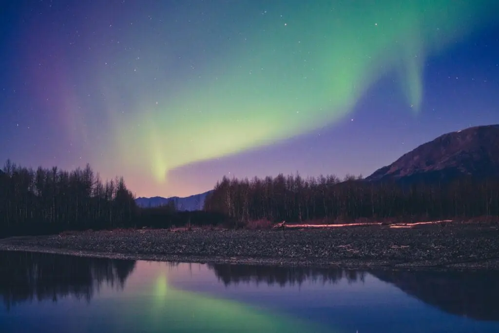 Northern lights in the night sky near a forest.