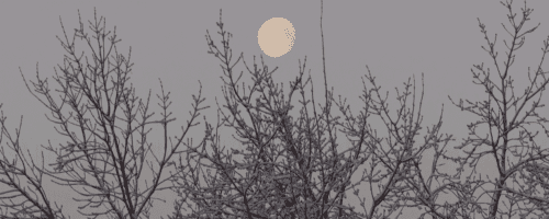 Sacred Foods and Winter Dance Ceremonies