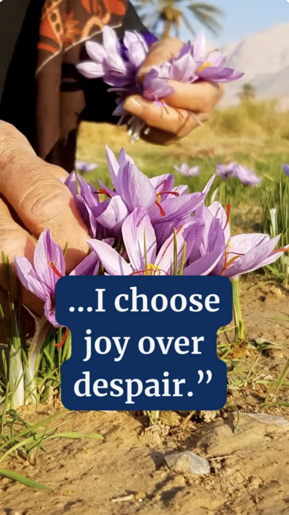 Human hands picking flowers with the text "...I choose joy over despair."