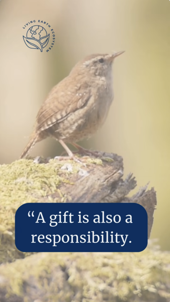 Bird standing on a log with the text "A gift is also a responsibility."