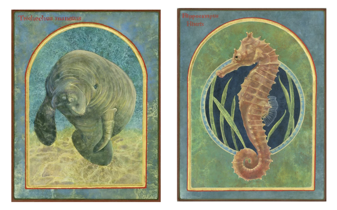 Decoration drawing of Manatee and Seahorse.