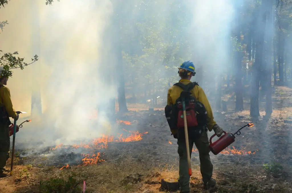 Wildfire care.