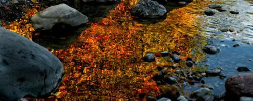 Fire and Water: Prescribed Burns, Traditional Indigenous Knowledge, and Restoration of Relationship